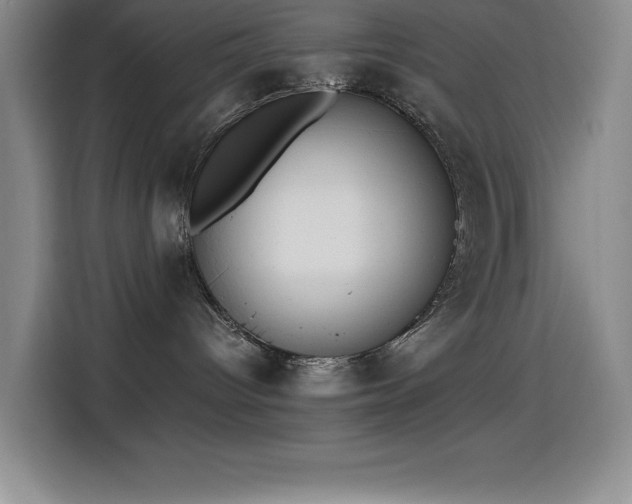 X0000114500096200910191259