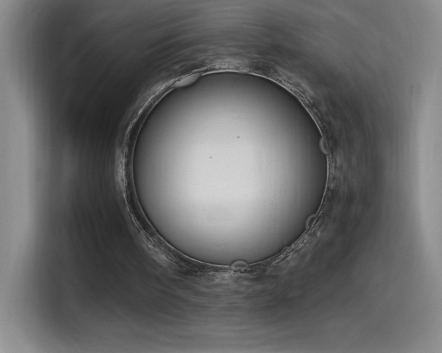 X0000114500098200910191259