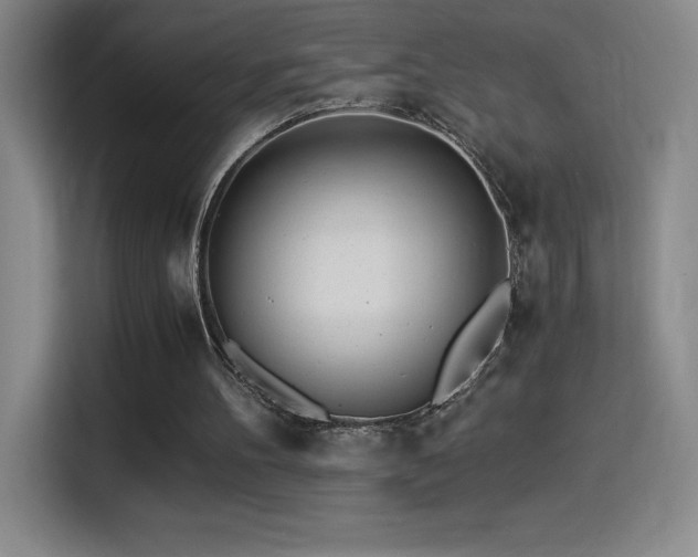 X0000114500100200910191259