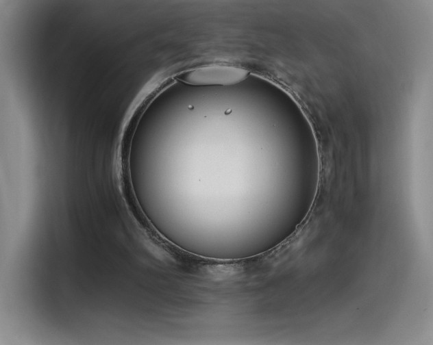 X0000114500102200910191259