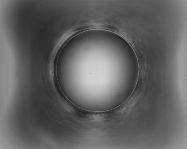 X0000114500103200910191259