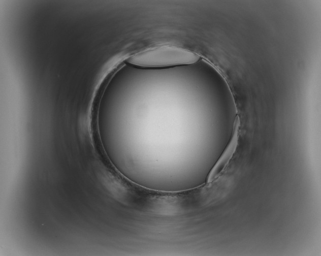 X0000114500104200910191259