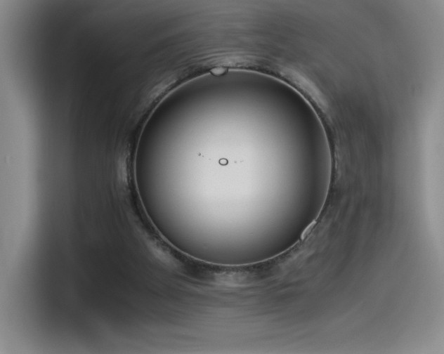 X0000114500105200910191259