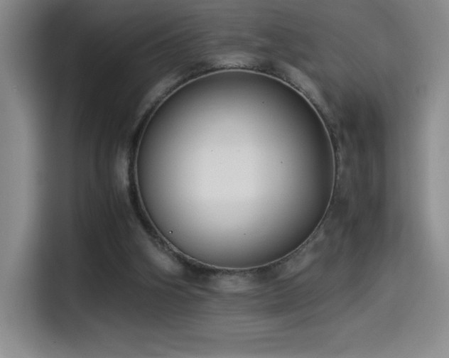 X0000114500106200910191259