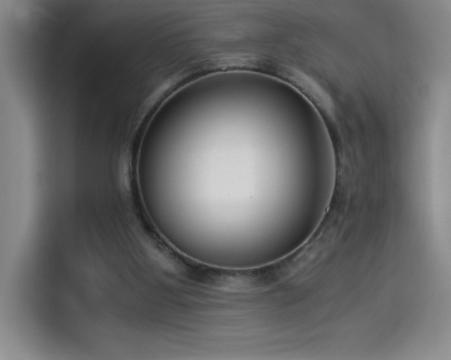 X0000114500107200910191259