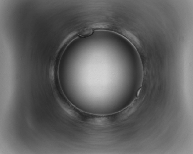 X0000114500108200910191259