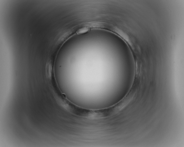 X0000114500109200910191259