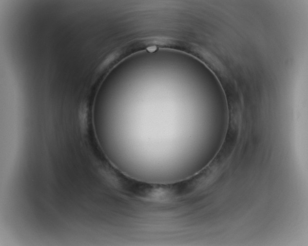 X0000114500111200910191259