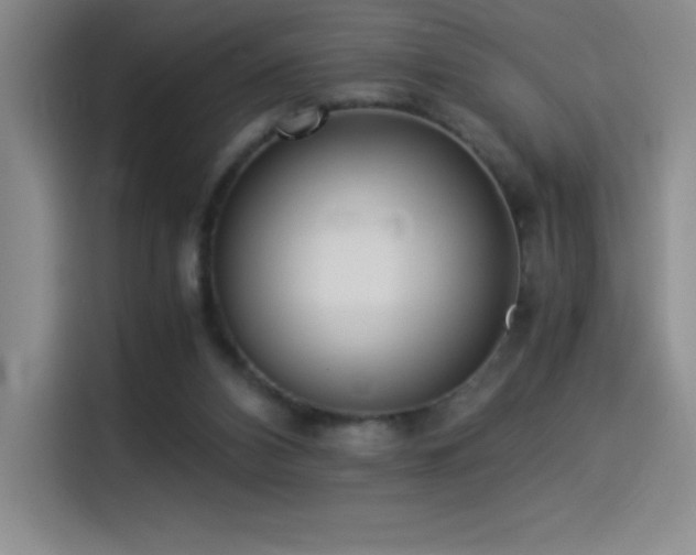 X0000114500112200910191259