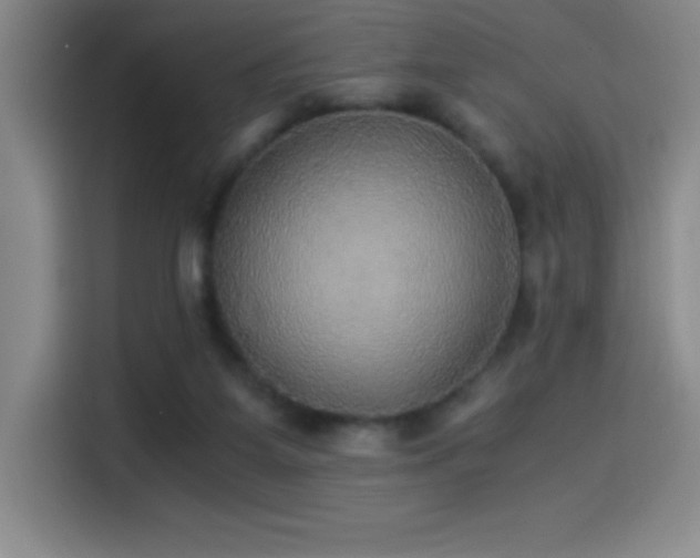 X0000114500115200910191259