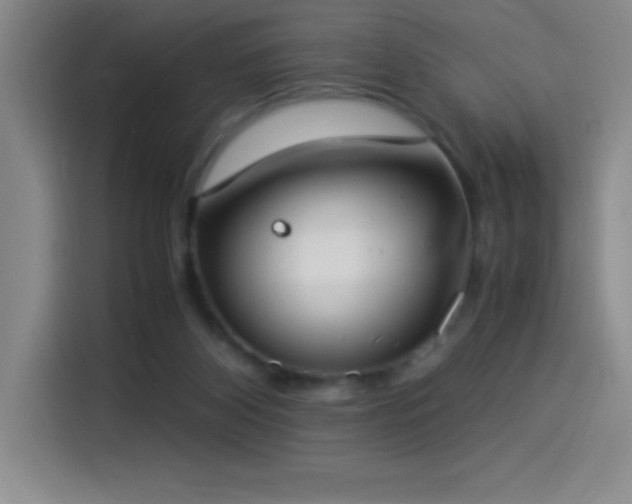 X0000114500116200910191259