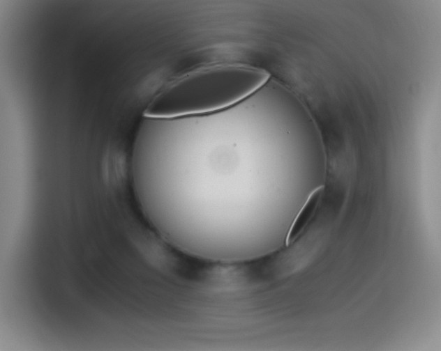 X0000114500117200910191258