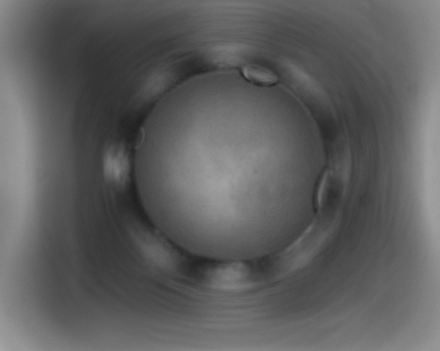 X0000114500124200910191258