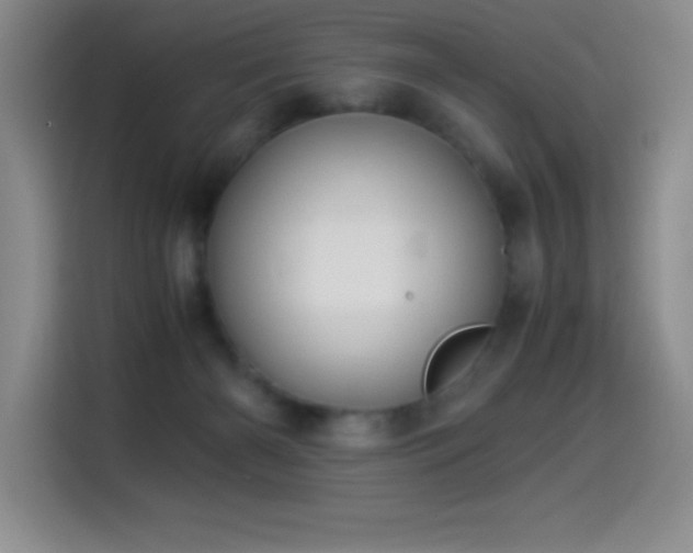X0000114500126200910191258