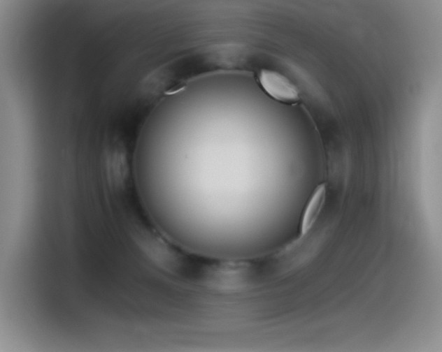 X0000114500128200910191258