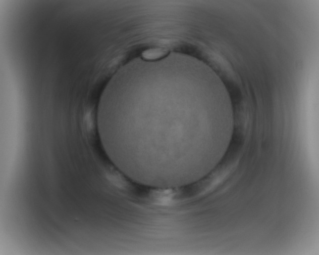 X0000114500131200910191258