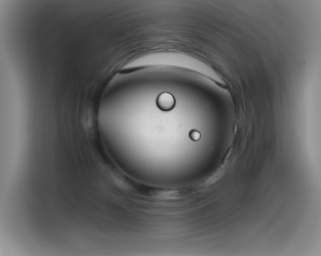 X0000114500132200910191258