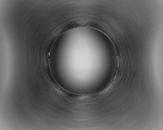 X0000114500136200910191258