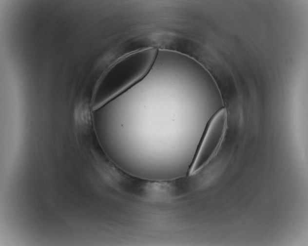 X0000114500137200910191258