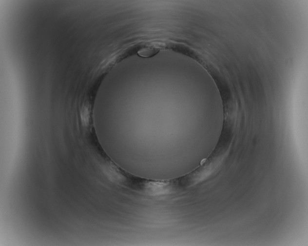 X0000114500139200910191258