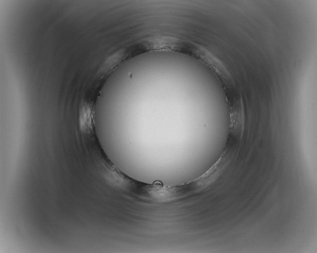 X0000114500142200910191258