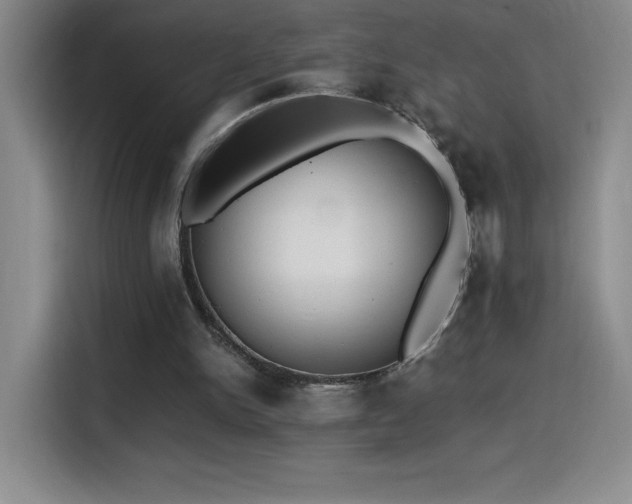 X0000114500150200910191258