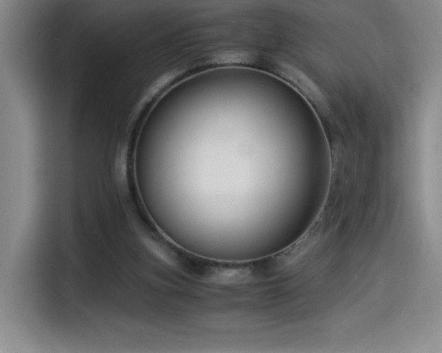 X0000114500155200910191258