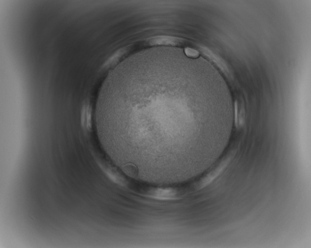 X0000114500157200910191258