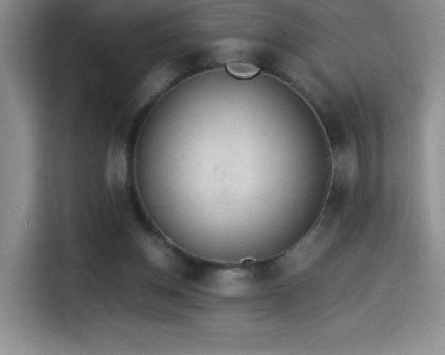 X0000114500158200910191258
