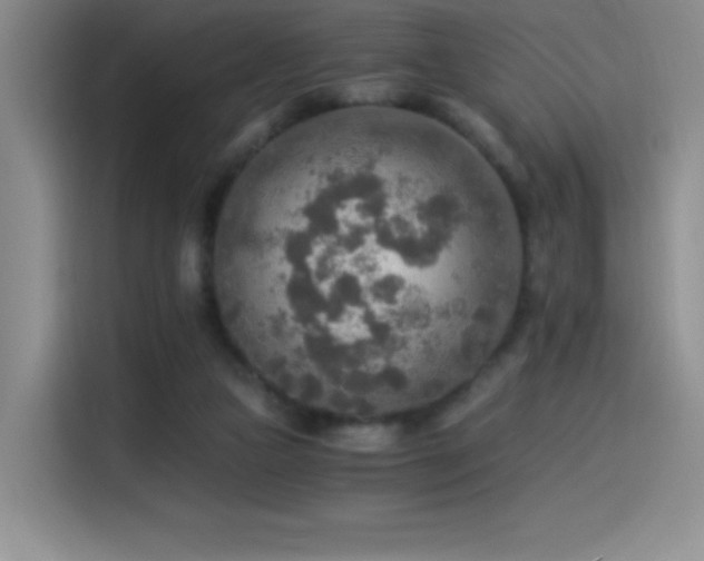 X0000114500161200910191258