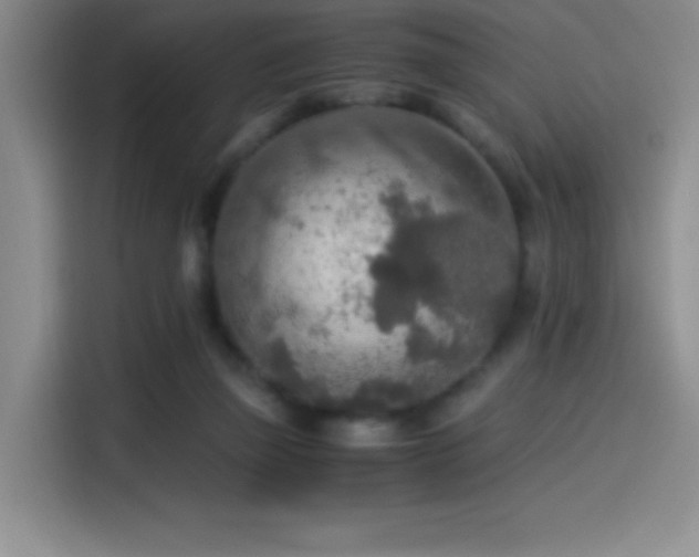 X0000114500165200910191258
