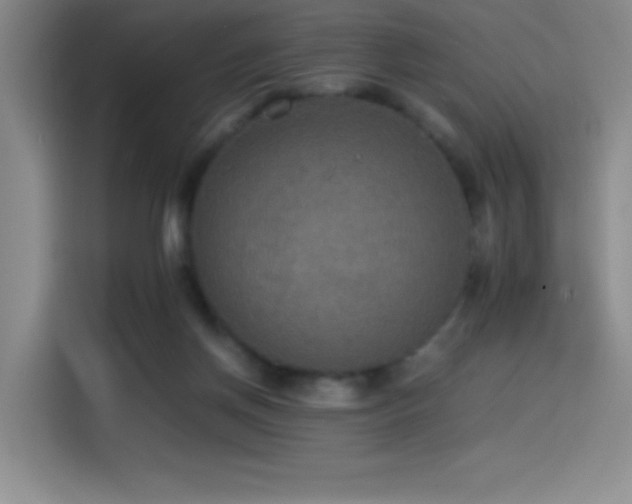 X0000114500166200910191258