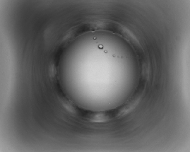 X0000114500173200910191258