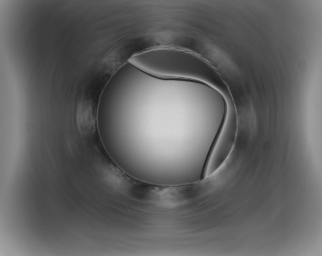 X0000114500186200910191258