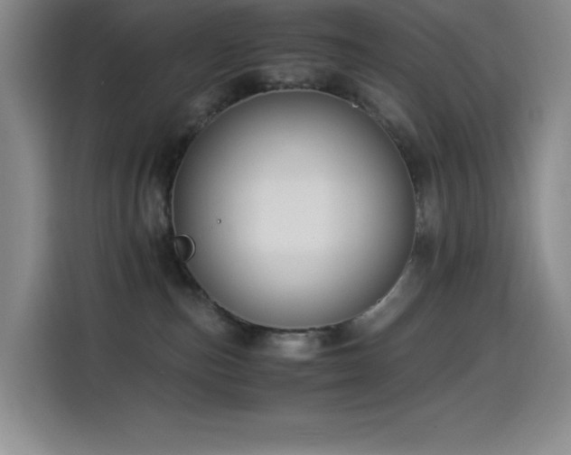 X0000114500187200910191258