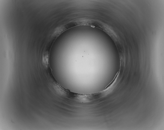 X0000114500190200910191258