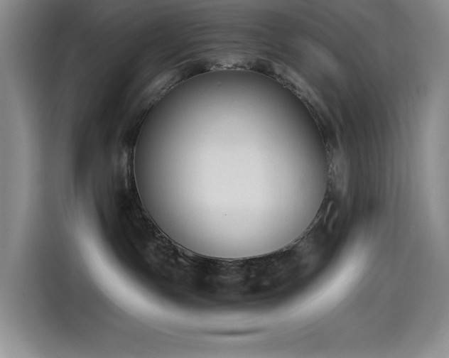 X0000114500191200910191258