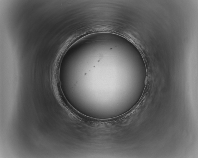 X0000114500193200910191258