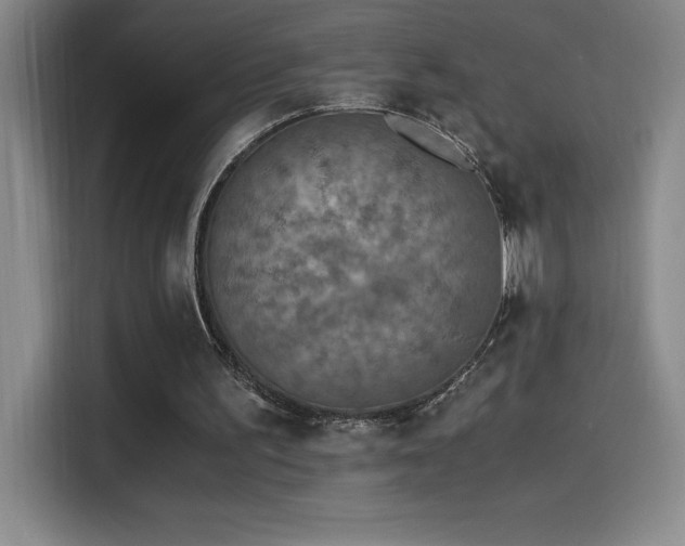 X0000114500195200910191257