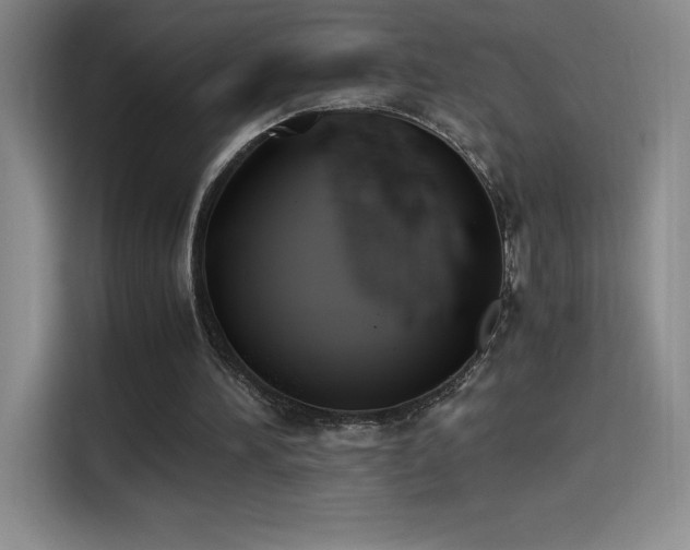 X0000114500196200910191257