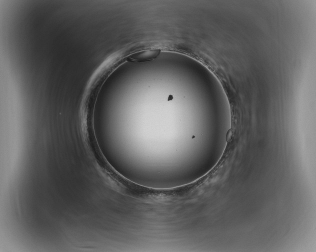 X0000114500197200910191257