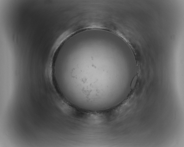 X0000114500199200910191257