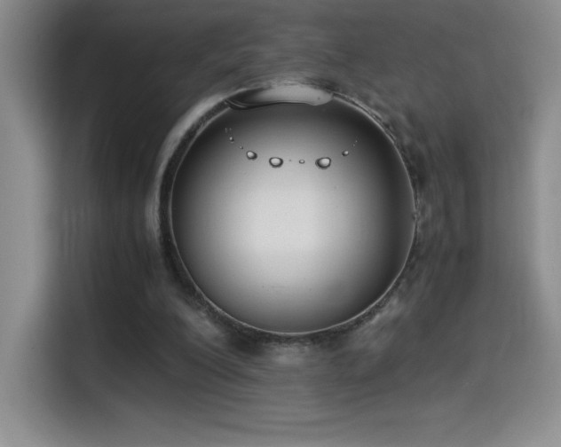 X0000114500200200910191257