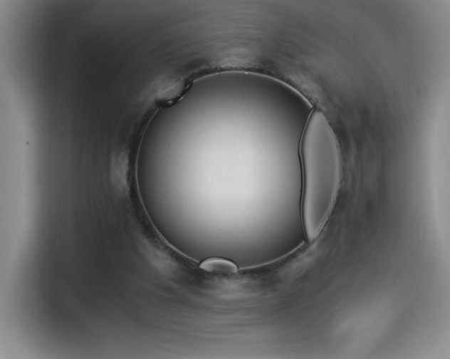X0000114500201200910191257