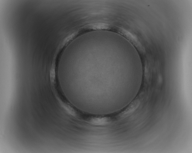 X0000114500202200910191257