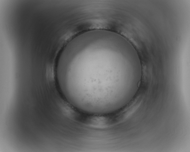 X0000114500203200910191257