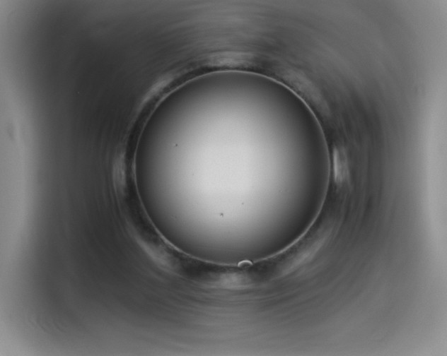 X0000114500204200910191257