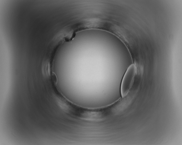 X0000114500205200910191257