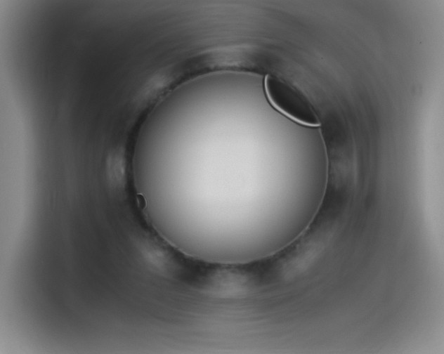 X0000114500207200910191257
