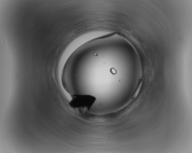 X0000114500209200910191257